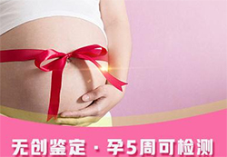 郑州孕期亲子鉴定中心到哪里，郑州孕期亲子鉴定预约电话